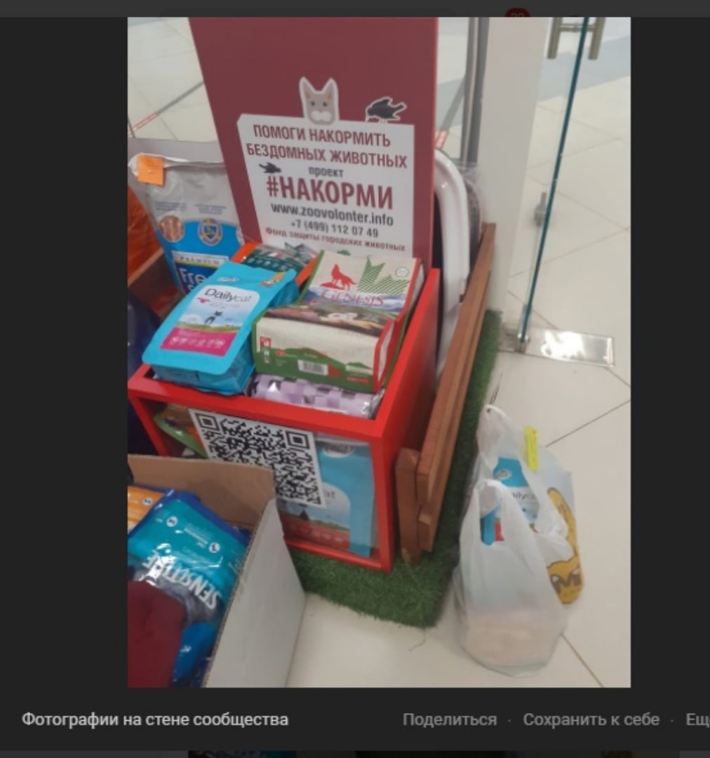 В зоомагазине на Отрадной запустили акцию помощи бездомным животным