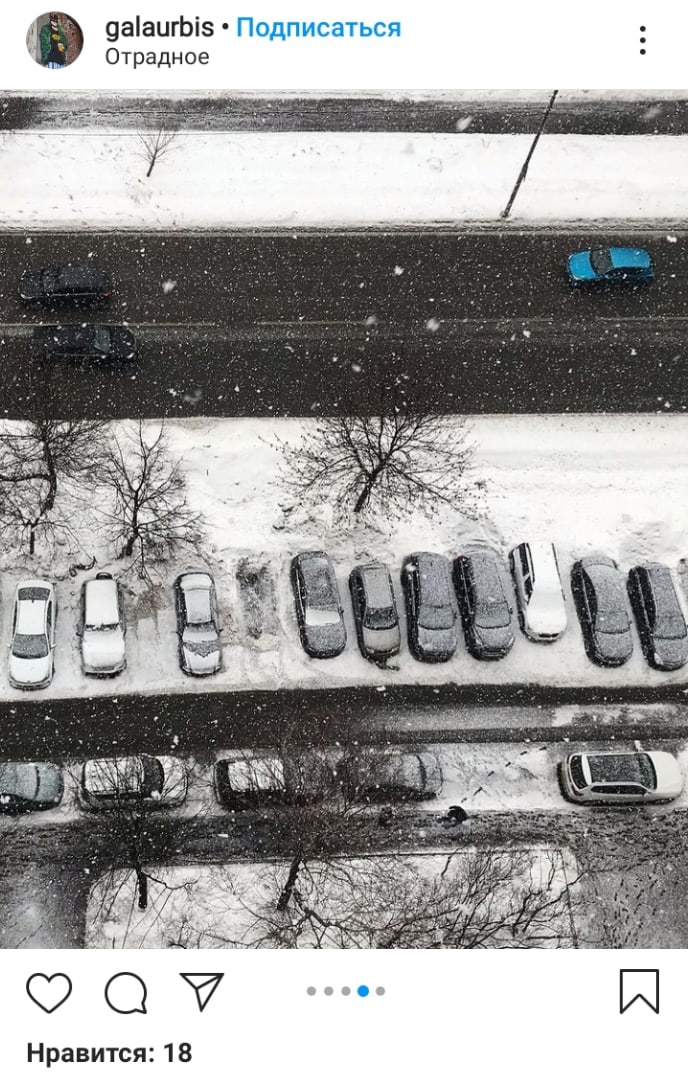 Фото дня: мартовский снегопад в Отрадном
