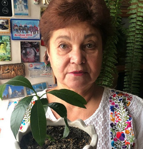 Пенсионерка из Отрадного затеяла дома эксперимент по выращиванию манго
